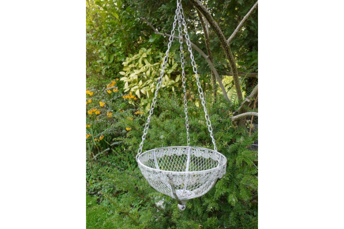 Hanging Basket