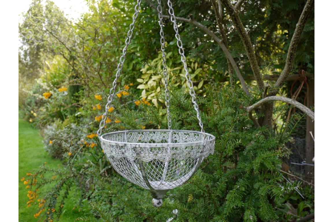 Hanging Basket