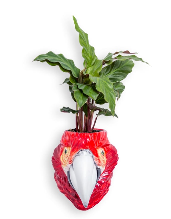 Hand Painted Ceramic Red Parrot Head Wall Sconce Vase