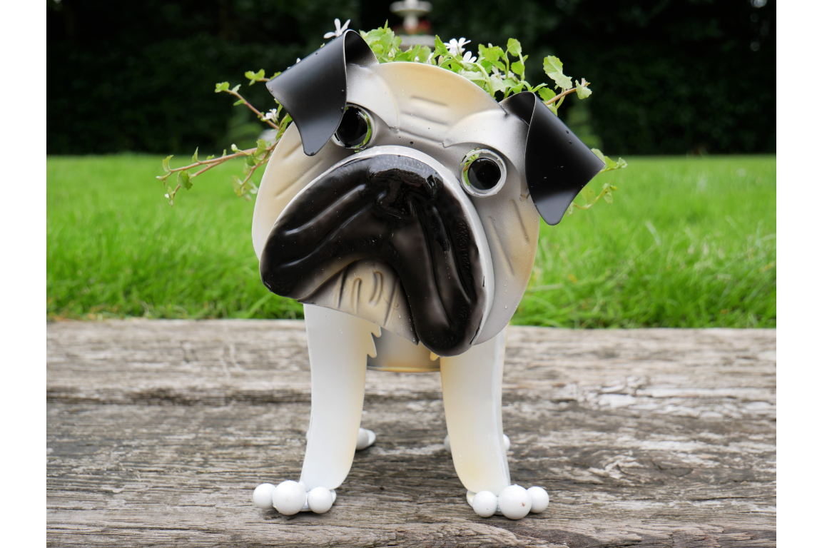 Pug Planter