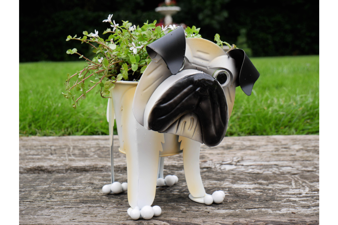 Pug Planter