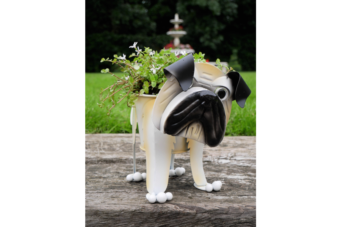 Pug Planter