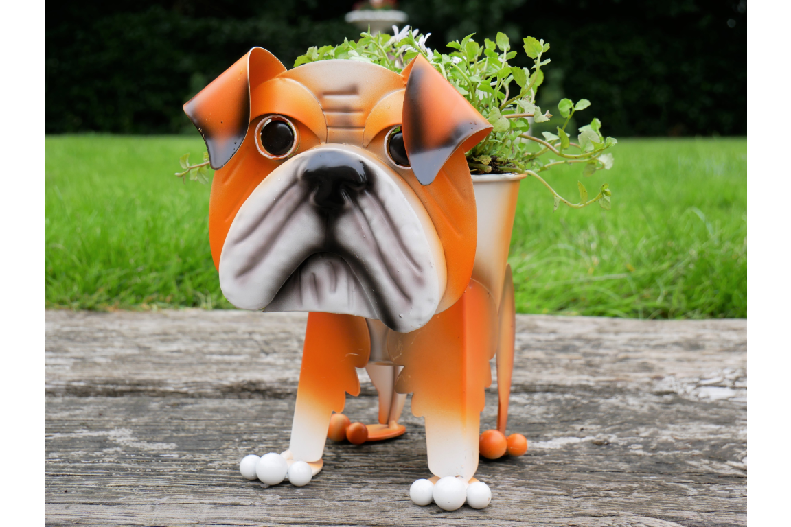 Bulldog Planter