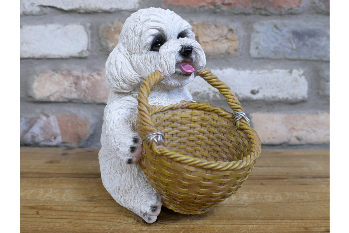 Dog With Basket